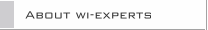 About wi-experts