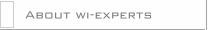 About wi-experts